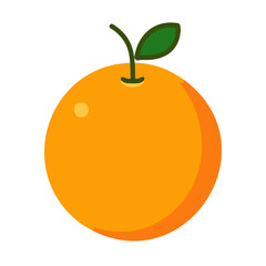 Orange fruit flat icon isolated on white background for your web and mobile app design