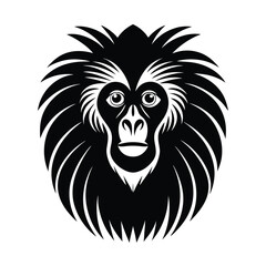 Japanese macaque vector illustration 