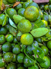 A Close-Up View of Freshly Harvested Calamondin Oranges, Green Citrus Fruits Glistening with Dew Drops, Lush Greenery, Vibrant and Juicy