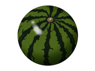 スイカ 夏の果物 野菜