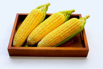Sweet corn, Fresh yellow corn