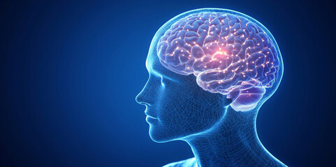 Obraz premium A digital representation of a human head with a glowing neural network brain, symbolizing artificial intelligence and machine learning, set against a sleek blue background for tech innovation themes.