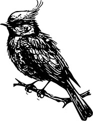 vector illustration of a bird