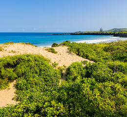 Sand Dunes on Ironwood Beach With Makaluapana Point Across Oneloa Bay, Kapalua Coastal Trail,...