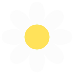 daisy flower