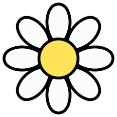 daisy flower