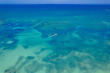 Fototapeta premium aerial view of Playa del Carmen, Mexico