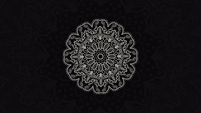 mandala ornament motion video graphic background
