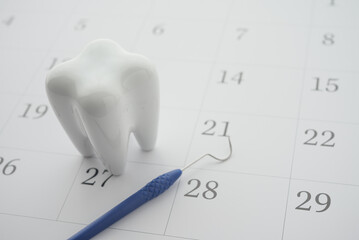 White healthy tooth model and dental pick explorer probe on blank white calendar background with...
