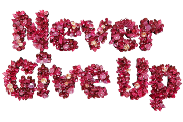 "Never Give Up" Text Effect Isolated on Transparent Background