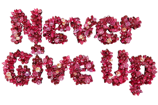 "Never Give Up" Text Effect Isolated on Transparent Background