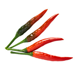 red chili peppers isolated on transparent background
