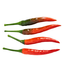 red chili peppers isolated on transparent background

