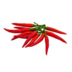 Fresh Red Chili Pepper On White Background.