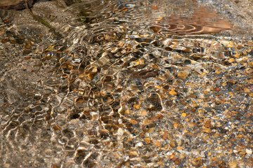 rocky stream bed in sunlight