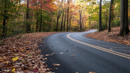 Obraz premium Autumnal road winding through a colorful forest