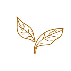 tobacco leaf icon
