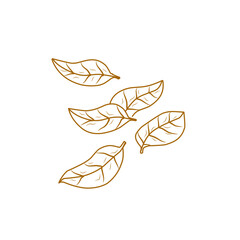 tobacco leaf icon