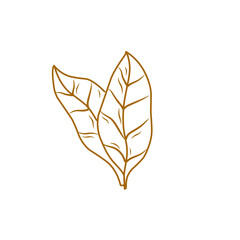 tobacco leaf icon