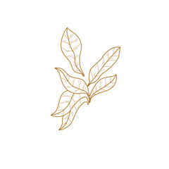 tobacco leaf icon
