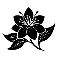 Obraz premium Flower vector art illustration