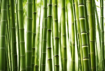 鮮やかな青竹の背景