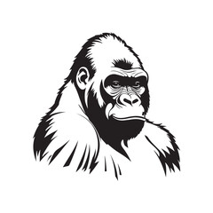 Gorilla Sketched Art Vector Style With White Background.