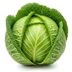 Fototapeta premium Cabbage Head. Beautiful, fresh head of cabbage on white