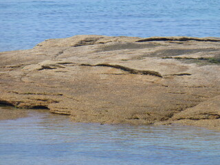 Pink granite rock at rising tide - Rocher de granite rose à marée montante