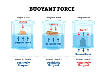 Different types of Buoyant Force Infographic diagram, physics science education. Archimedes Principle. Labeled floating cork, wood, iron, gravity, positive, negative. Water displacement.