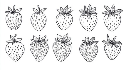 Line art strawberries, various views, food illustration, for design