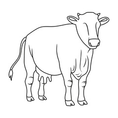 Line Art Cow Illustration