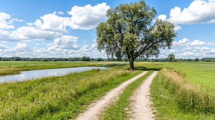 Beautiful Rural Landscape with a Single Tree and a Windswept Pathway Alongside a Glimmering River Under a Blue Sky Filled with Fluffy White Clouds in Summer