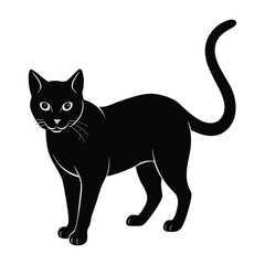 Sleek Cat in a Stalking Pose on Pristine White Backdrop