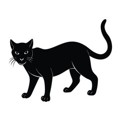 Stylish Cat in Stealth Mode on Clean White Backdrop