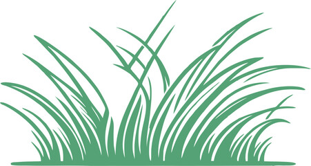 A beautifully crafted digital illustration of wild grass, featuring long, slender blades with a natural flow. The design captures the organic movement and untamed beauty of grass in a minimalistic