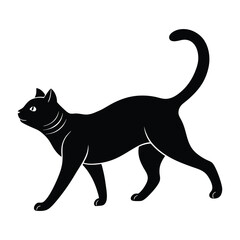 Cat Stepping Forward with an Elongated Silhouette in Motion