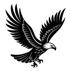 Obraz premium eagle with wings 