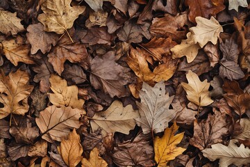 Autumn leaves spread across the ground creating a textured blanket of warm colors, showcasing nature's beauty : Generative AI