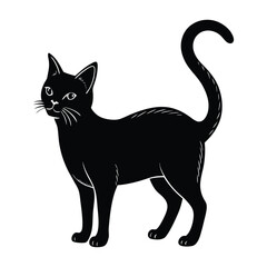 Cat Standing with an Alert Posture and Ears Pointed Forward Silhouette