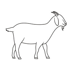 Thin line Illustration of a goat standing