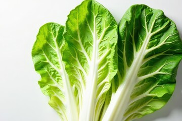 Fototapeta premium Vibrant Green Chard Leaves Showcase Delicate Veins and Crisp Texture, Ideal for Fresh Salads and Culinary Creations