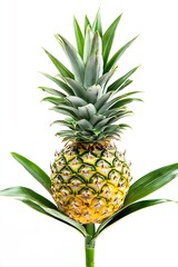 Fototapeta premium Beautifully arranged ripe pineapple featuring lush green leaves and a detailed texture set against a white background : Generative AI