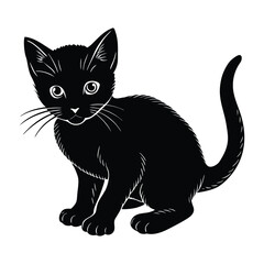 Kitten Crouching Low, Ready to Pounce in Silhouette
