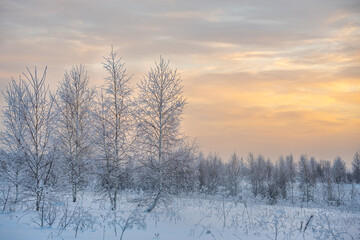 Winter landscape, frosty morning in Siberia