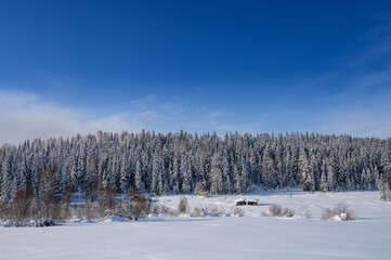 Winter landscape, frosty morning in Siberia