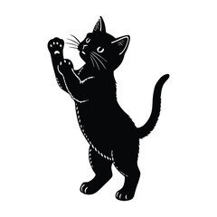 Kitten Standing on Hind Legs and Reaching Up with Paw