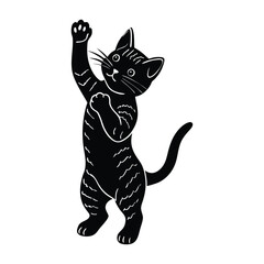 Kitten on Hind Legs Stretching Up with a Playful Paw