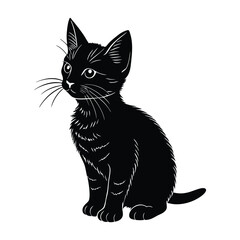 Kitten Watching Intently with Ears Perked Up