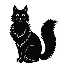 Elegant Long Haired Cat Sitting with Luxurious Fluffy Tail